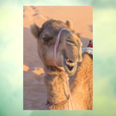 Funny Camel Raamsticker (Vel 3)
