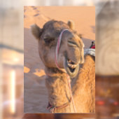 Funny Camel Raamsticker (Vel 2)
