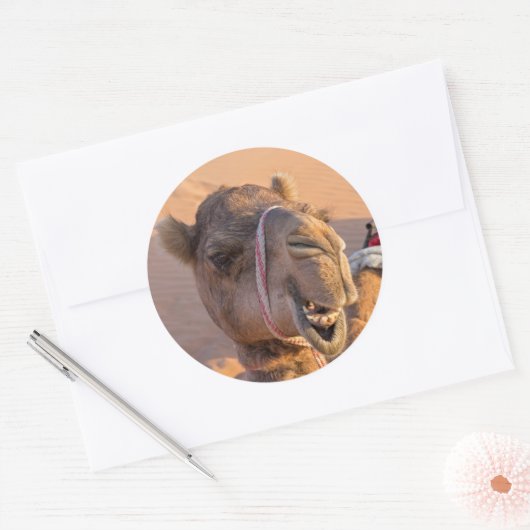Funny Camel Ronde Sticker (Envelop)