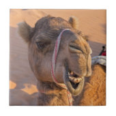 Funny Camel Tegeltje (Voorkant)