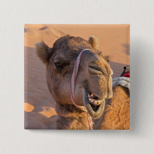 Funny Camel Vierkante Button 5,1 Cm