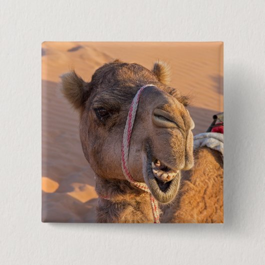 Funny Camel Vierkante Button 5,1 Cm (Voorkant)