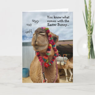 Funny Camel wacht op paaskaart Feestdagen Kaart