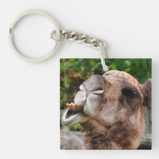 Funny Camel Wildlife Animal Foto Sleutelhanger