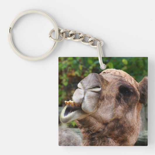 Funny Camel Wildlife Animal Foto Sleutelhanger (voorkant)
