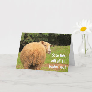 Funny Cancer Sheep-aanmoediging Kaart