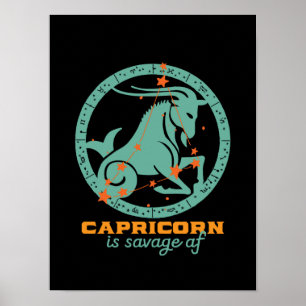 Funny Capricorn Zodiac Star Astrology Birthday Poster