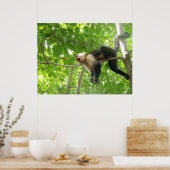 Funny Capuchin Monkey in een boom Poster (Keuken)