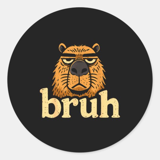 Funny Capybara Bruh Sarcastic Animal Meme Boys Tee Ronde Sticker (Voorkant)