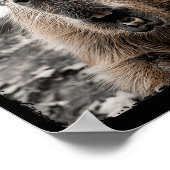 Funny Capybara Halloween Costume  Poster (Hoek)