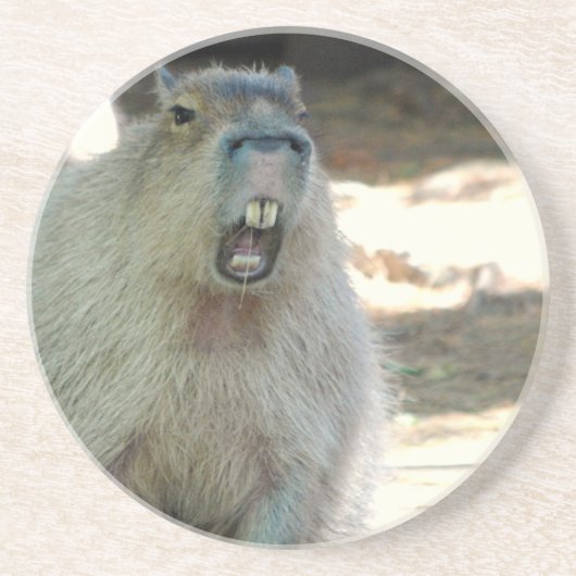 Funny Capybara Onderzetter (Voorkant)