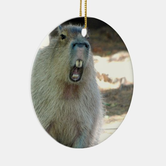 Funny Capybara Ornament (Rechts)