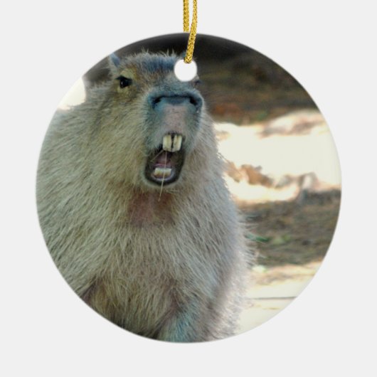 Funny Capybara Ornament (Voorkant)