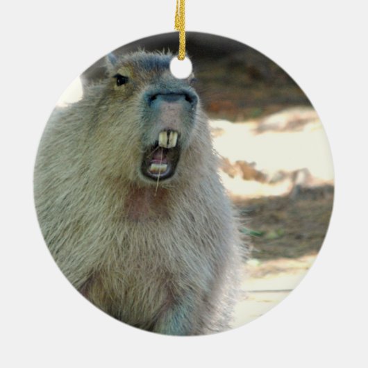 Funny Capybara Ornament (Achterkant)