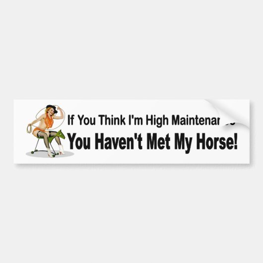 Funny car sticker voor vrouwen die paarden bezitte (Voorkant)