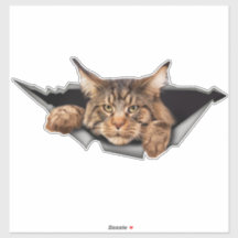 Funny Car-Stickers, autowrakken en -Stickers