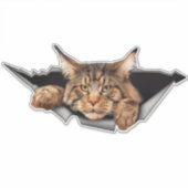 Funny Car-Stickers, autowrakken en -Stickers Sticker (Voorkant)