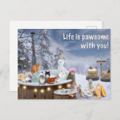 Funny Card met katten die in een hete buis wegvall Feestdagenkaart (Voorkant / Achterkant)