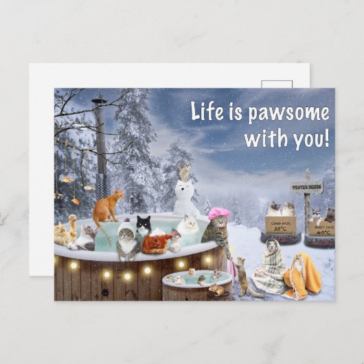 Funny Card met katten die in een hete buis wegvall Feestdagenkaart (Voorkant / Achterkant)