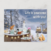 Funny Card met katten die in een hete buis wegvall Feestdagenkaart (Voorkant)