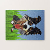 Funny Cartoon Border Collie 252 Piece Puzzle Legpuzzel (Horizontaal)