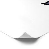 Funny Cartoon Pirate Kind Poster (Hoek)