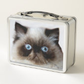 Funny Cat (Achterkant)
