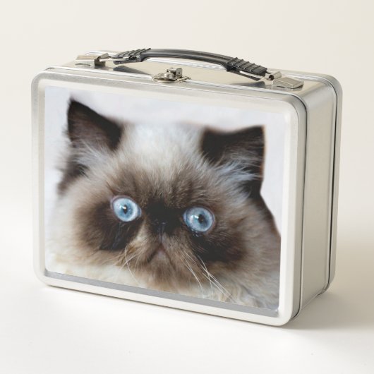 Funny Cat (Voorkant)