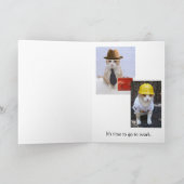 Funny Cat Afstuderen Kaart (Binnen)