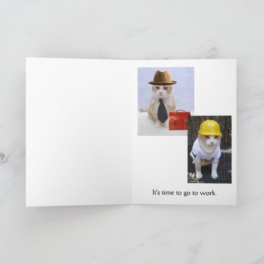 Funny Cat Afstuderen Kaart (Binnen)