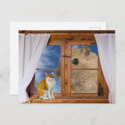 Funny Cat and Mouse Briefkaart (Voorkant / Achterkant)