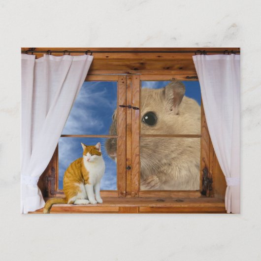 Funny Cat and Mouse Briefkaart (Voorkant)