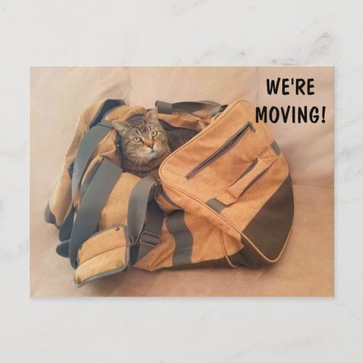 Funny Cat and Suitcase Moving Briefkaart (Voorkant)