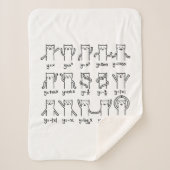 Funny Cat and Wiskunde, Cat and Algebra liefhebber Sherpa Deken (Voorkant)