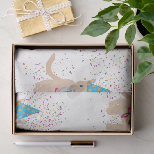 Funny Cat Animals met een partij Tissuepapier (Geschenk)