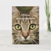 Funny Cat Best Pap Fathers Day Card Kaart (Voorkant)