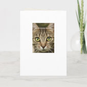 Funny Cat Best Pap Fathers Day Card Kaart (Achterkant)