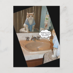 Funny Cat Bevestiging over een opruiing Briefkaart