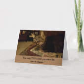 Funny Cat bevoegd (blanco binnenin) Kaart (Voorkant)