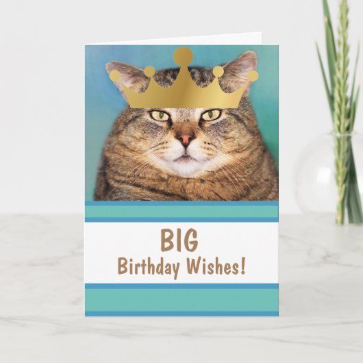 Funny Cat Big Birthday wil Kaart (Voorkant)