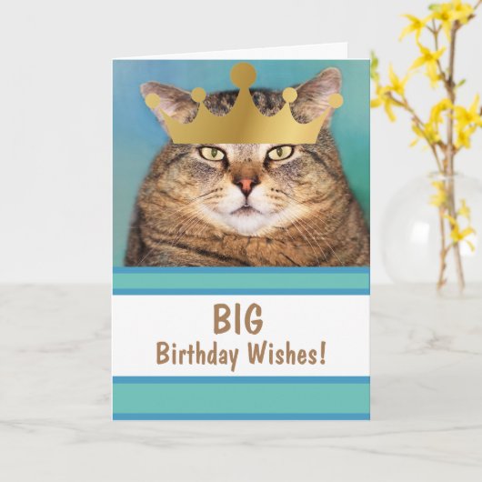Funny Cat Big Birthday wil Kaart (Gele Bloem)