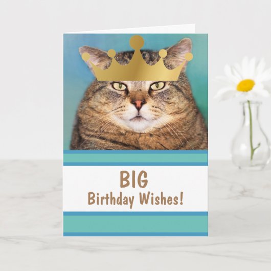 Funny Cat Big Birthday wil Kaart (Kleine Plant)