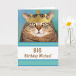 Funny Cat Big Birthday wil Kaart<br><div class="desc">Niemand krijgt het punt over zo'n indrukwekkende man. Fun card voor grote verjaardagswensen,  geschikt voor een koning! Bedankt om te zoeken! Foto ©Christine Greenspan. Vergunning gegeven afbeelding kroon.</div>