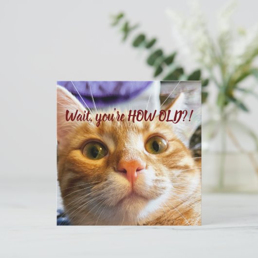 Funny Cat Birthday (Staand voorkant)
