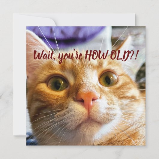 Funny Cat Birthday (Voorkant)