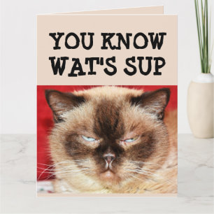 FUNNY CAT BIRTHDAY BIG Wenskaart Kaart