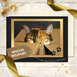 Funny Cat Birthday Briefkaart<br><div class="desc">Een schattig verjaardagscadeau met een kat in een kartonnen doos met je eigen teksten. Het etiket afbeelding op de voorzijde is op een afzonderlijk dossier en kan worden geschrapt als u het niet nodig hebt.</div>