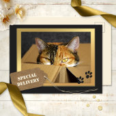 Funny Cat Birthday Briefkaart