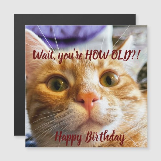 Funny Cat Birthday Card (Voorkant / Achterkant)