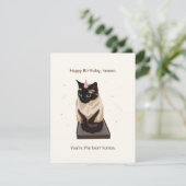 Funny Cat Birthday Card Feestdagenkaart (Staand voorkant)